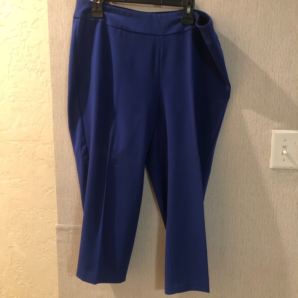 Investments Royal Blue Cropped Pants